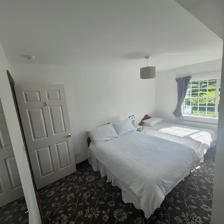 Couette-café The Shamrock