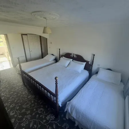 The Shamrock 伊尼希尔岛