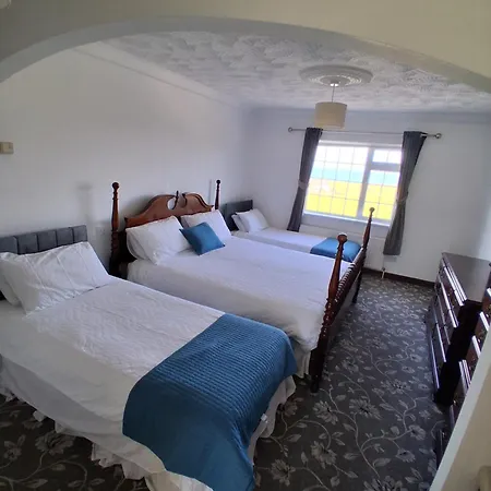 The Shamrock 3*