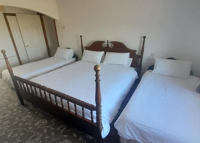 The Shamrock Guesthouse فندق مبيت وإفطار *