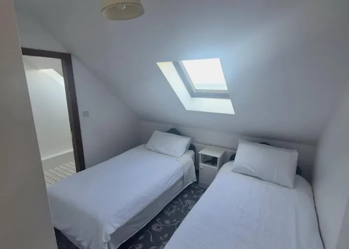 The Shamrock Guesthouse فندق مبيت وإفطار *