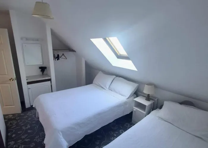 The Shamrock Guesthouse *